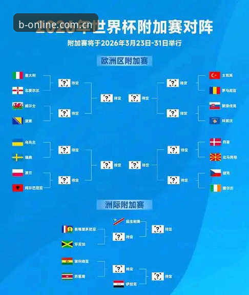 世界杯观赛签证问题深度解析：从B体育平台看2026赛事筹备现状